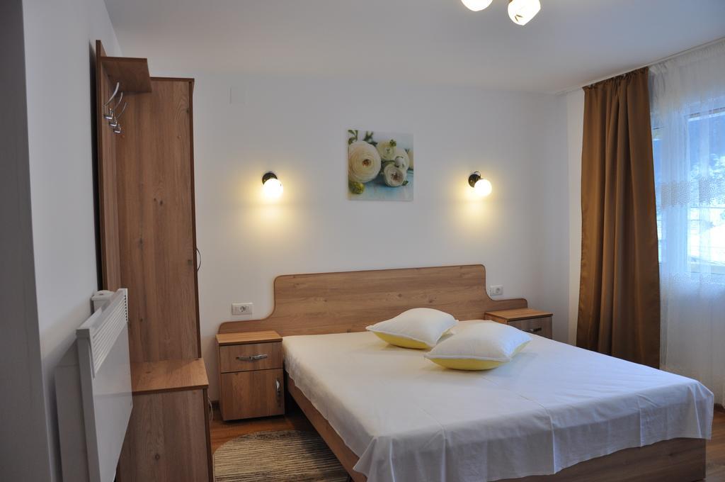 Pensiunea La Ionica Dîmbovicioara Extérieur photo