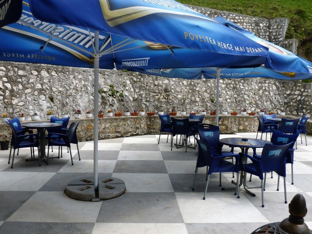 Pensiunea La Ionica Dîmbovicioara Extérieur photo