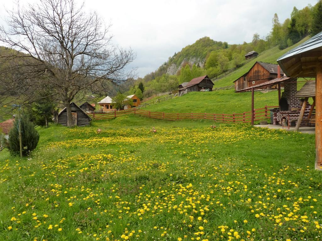 Pensiunea La Ionica Dîmbovicioara Extérieur photo