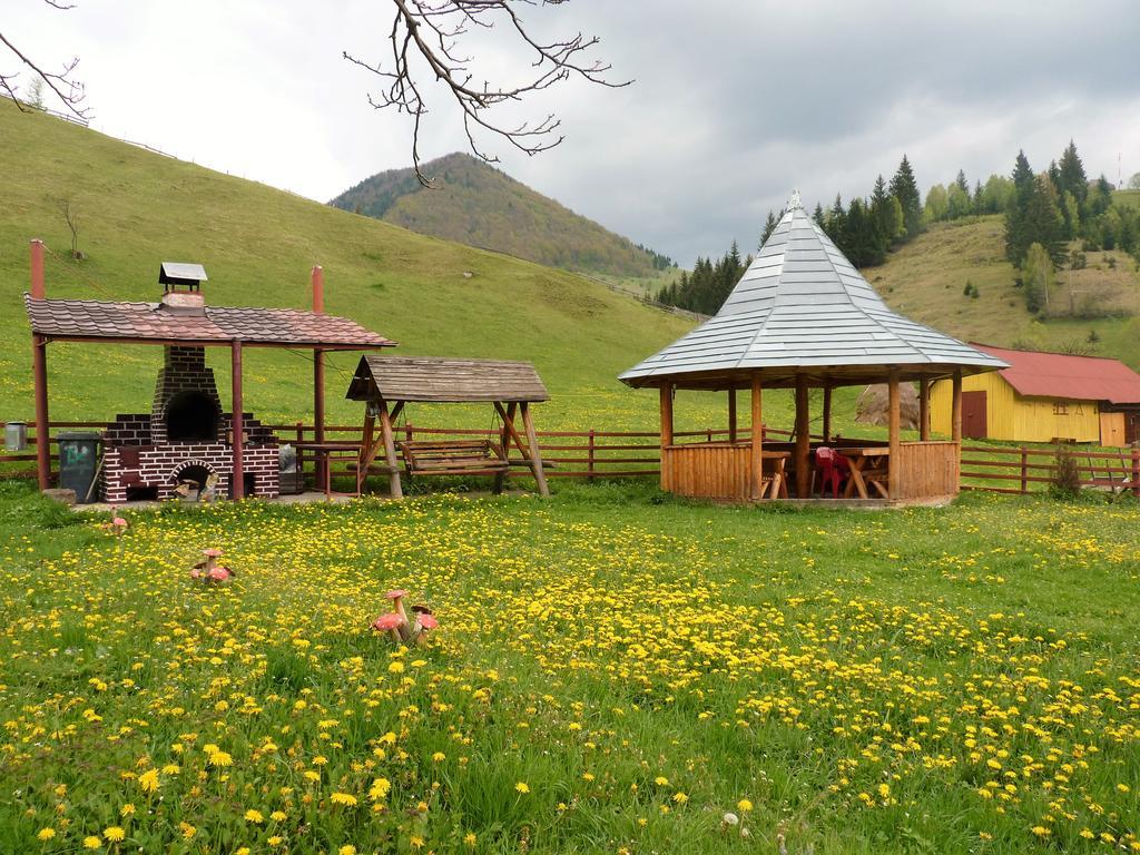 Pensiunea La Ionica Dîmbovicioara Extérieur photo