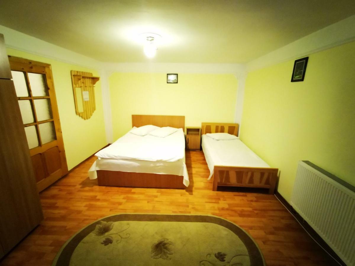 Pensiunea La Ionica Dîmbovicioara Extérieur photo